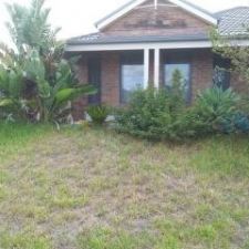 Front Yard Before 2